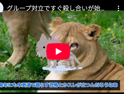 【木更津おわた】グループ対立ですぐ〇し合いが始まり､人肉を食う風習も…、元外交官がナイジェリア勤務の恐怖を語る