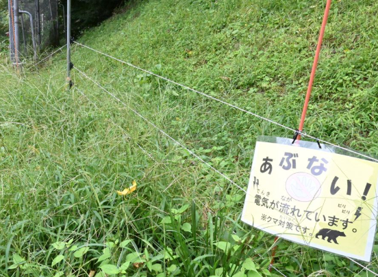【クマ／岩手県 二戸市舌崎地区】電気柵の効果を確認。侵入できないクマ・イノシシがカメラに撮影され、効果が確認できました