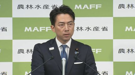 小泉農水大臣「私自身知らなかった」…「行き過ぎた表現あった。再発防止を徹底」　自民党総裁選めぐり陣営が“称賛コメント”要請