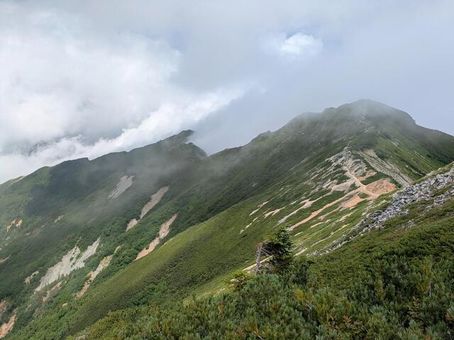 山頂で弁当食べ、テント場にも出没　北アルプスの熊に起きている変化「カップ麺の残し汁も捨てないで」