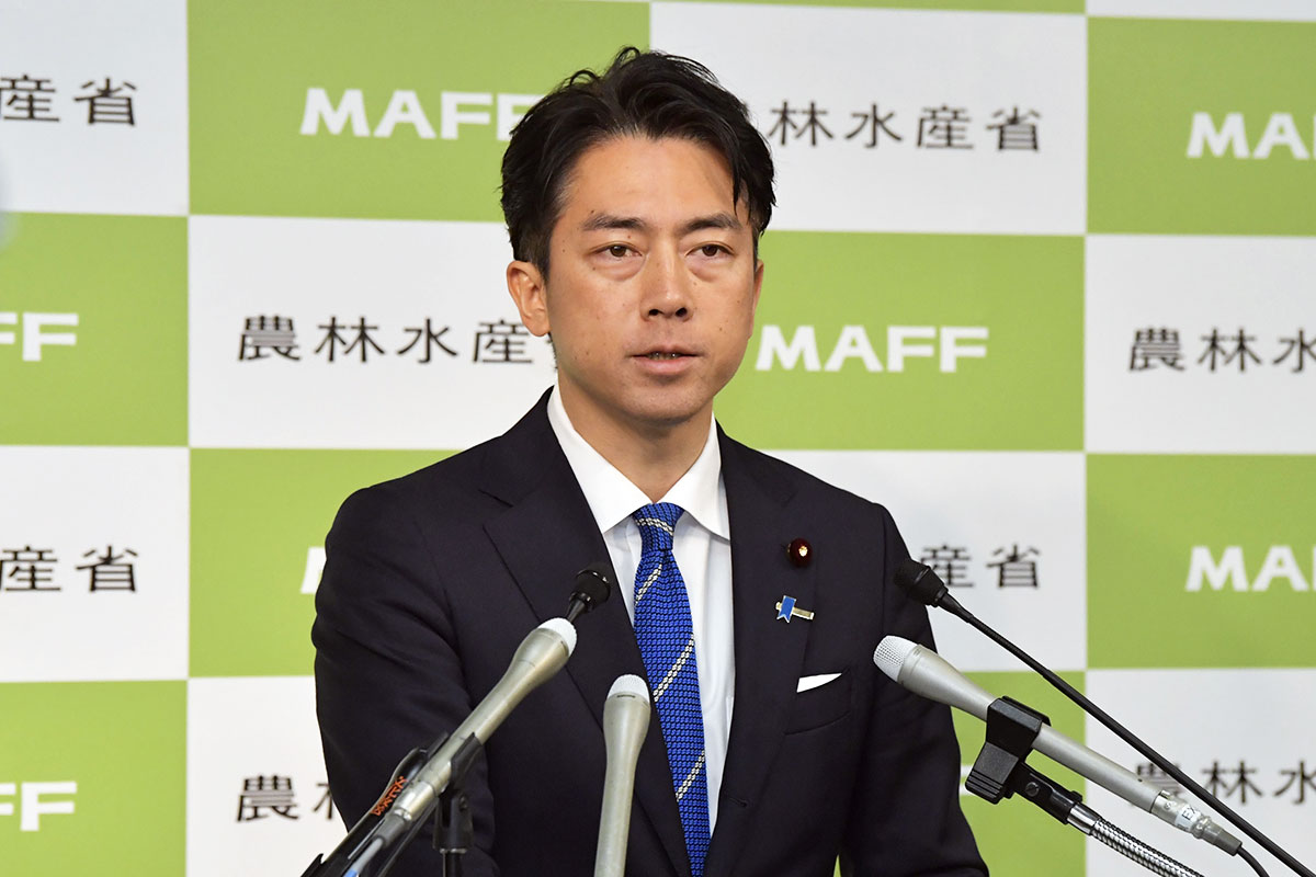 石破首相辞任表明で小泉農相「自分から打診」　深夜３者会談の内実明かす