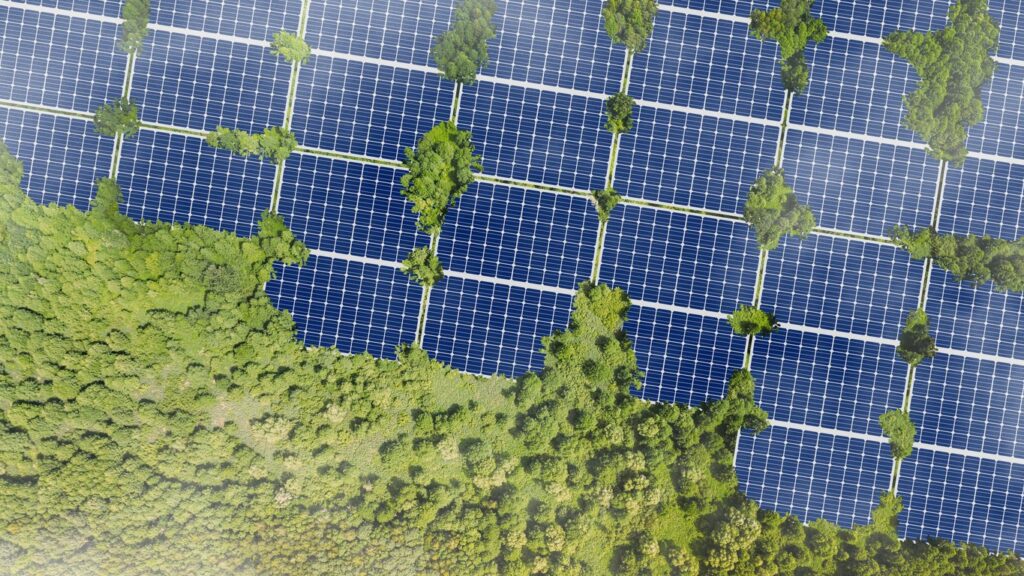 釧路湿原を破壊して中国製パネルを並べてCO2は減るのか
