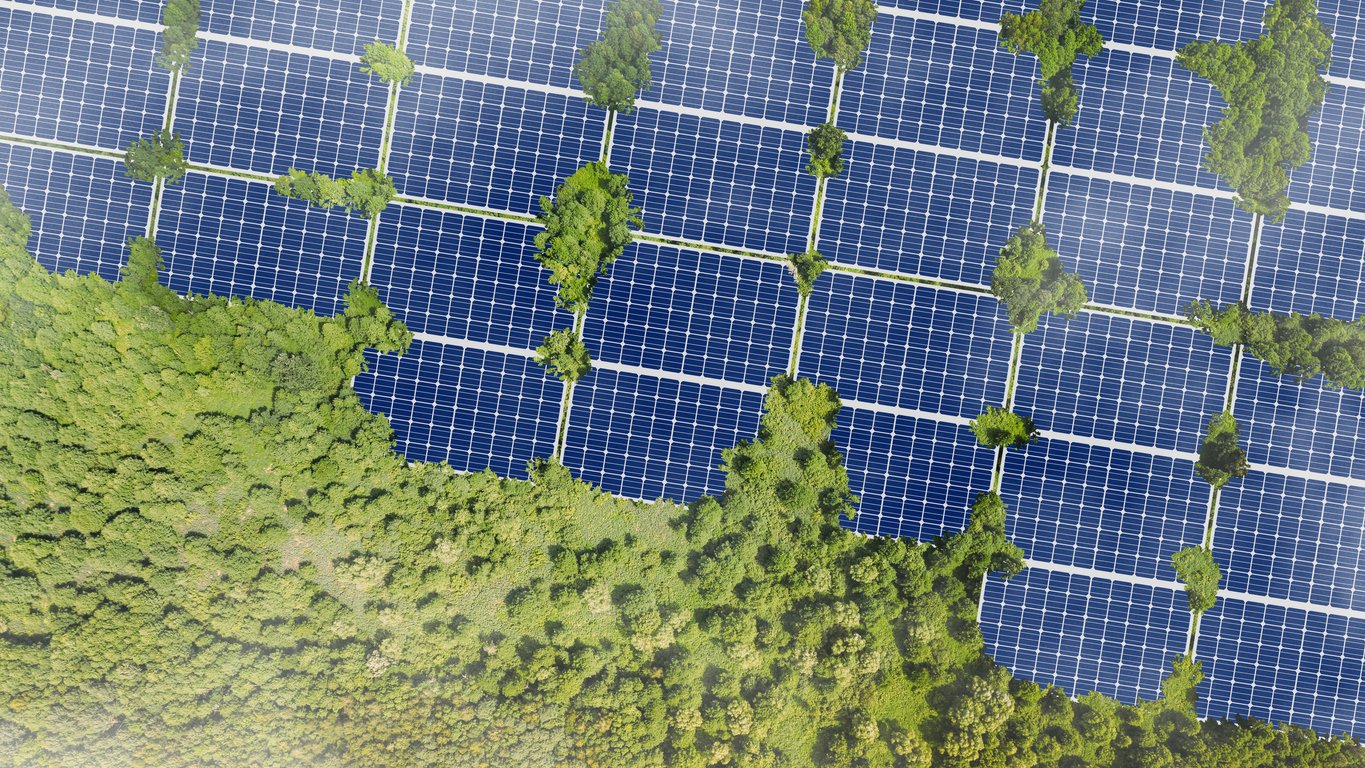 釧路湿原を破壊して中国製パネルを並べてCO2は減るのか