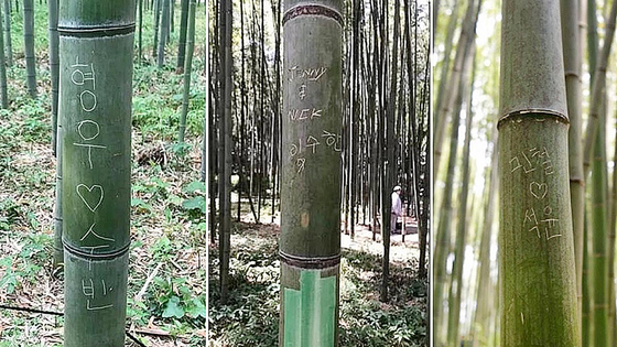 【韓国人として恥ずかしい・国の恥さらしだ】京都嵐山の名所・竹林を台無しにした“ハングルの落書き”