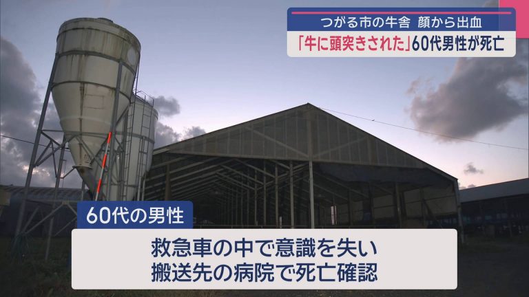 60代男性、顔面を牛に頭突きされ死亡