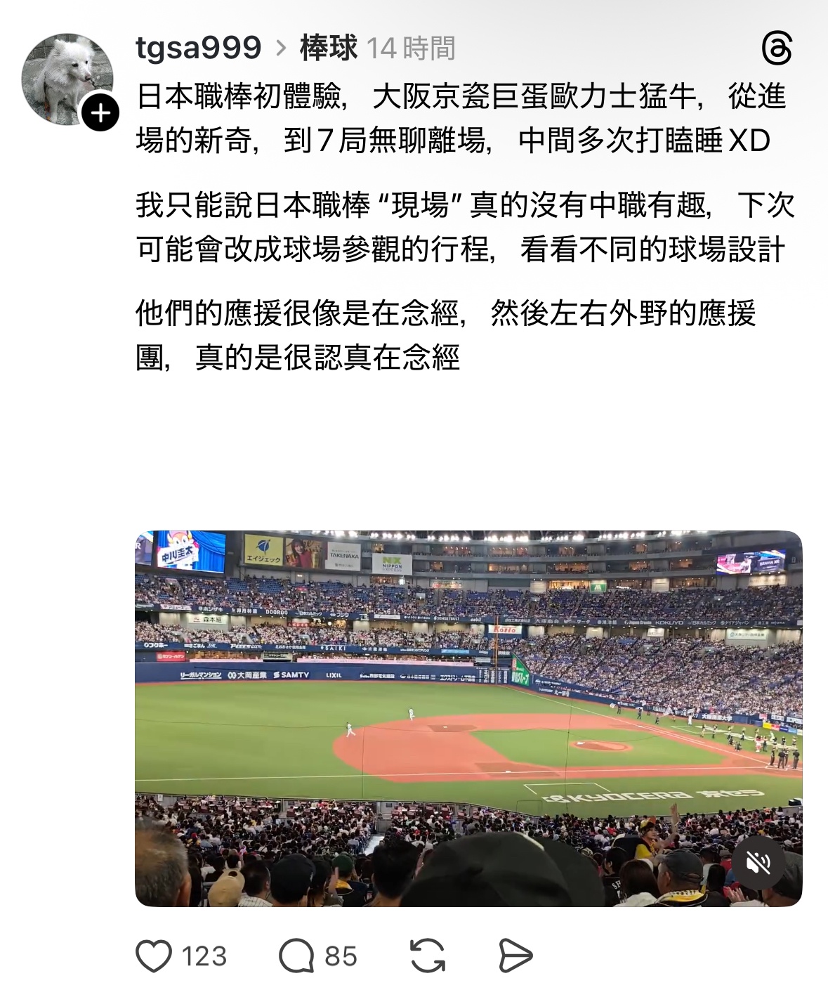 【悲報】台湾人「日本のプロ野球は退屈…応援団もお経を唱えてるだけ」