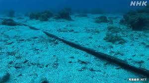 【台風情報／海底ケーブル損傷か？】八丈島は2系統あるけど、青ヶ島は1系統なのか？、青ヶ島で停電！！八丈島 約6,120軒・青ヶ島 約360軒・三宅島 4軒 が停電