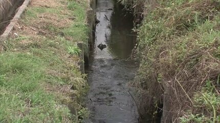 「三輪自転車にまたがったまま倒れている」 81歳女性が死亡 電動アシスト自転車で転落か