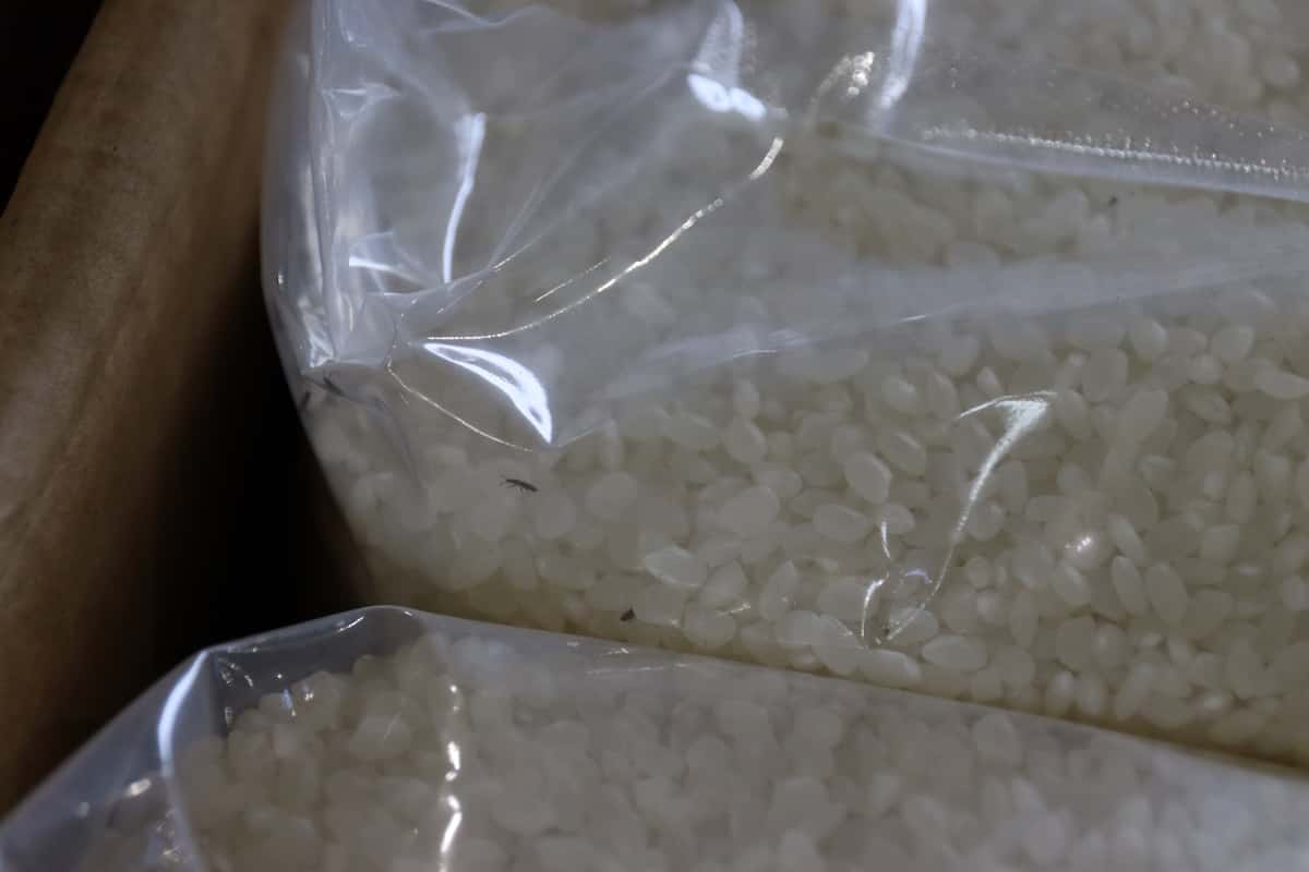 【コメ】ベトナムから米45トン密輸疑い　容疑で夫婦逮捕　日本産偽り流通か、袋内には虫多数