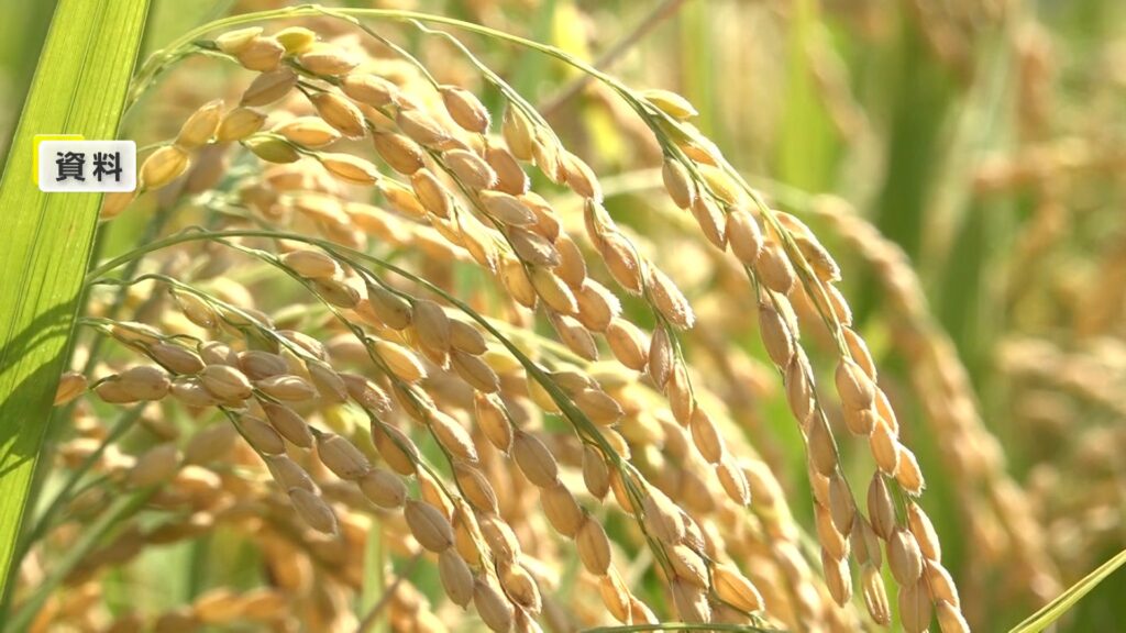 【悲報】新米さん、値上げしすぎて売れなくなってた😭