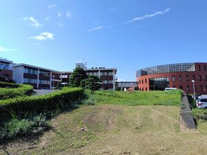 【世界初】小麦とトウモロコシの雑種が誕生　新作物につながる可能性も