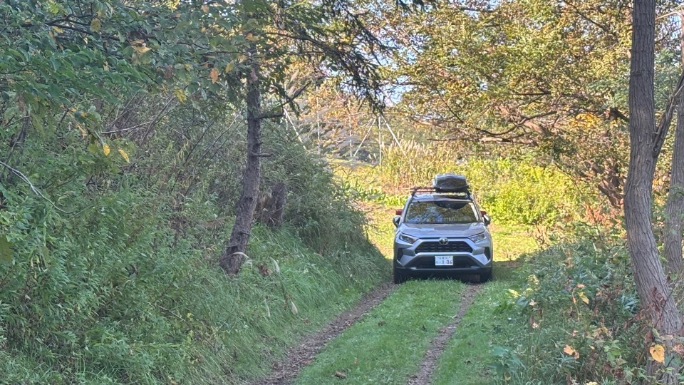 【北海道】シカ用わなにかかったクマを駆除する際に逆襲されたか　体長1.8ｍ暴れてわなからはずれ…ハンターの男性2人が負傷