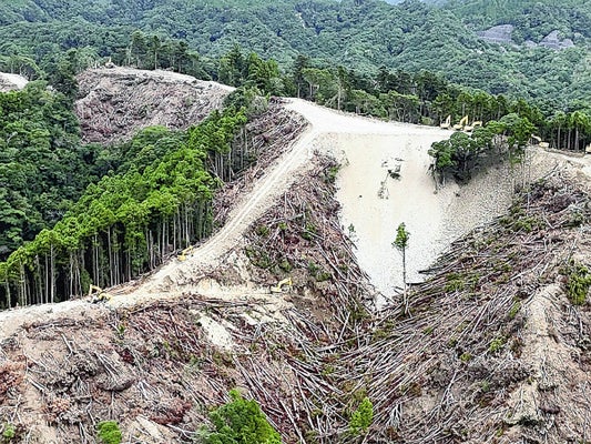【千葉】メガソーラー建設予定地に大量の伐採木散乱…市民団体が空撮「台風で土石流災害が心配」　鴨川