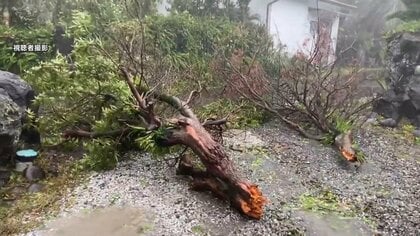 【台風22号】八丈島被害状況まとめ…強風で車横転　倒木や電線垂れ下がり約3000軒が停電に　約350人が避難　東京・八丈町（９日昼）