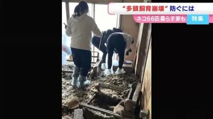【岡山】劣悪な環境でネコを飼育した疑いで女性（70）を書類送検　66匹の猫が保護「考えるのが面倒くさくなった」