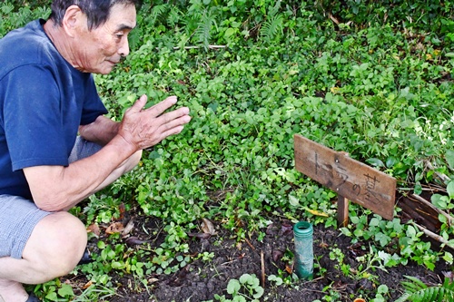 【島根】飼い犬４匹の連続不審死から半年「元気だったのに、なぜ死んだのか」翌朝口から血を出して…河川敷近くに注意喚起も、特定のめど立たず「早く原因知りたい」