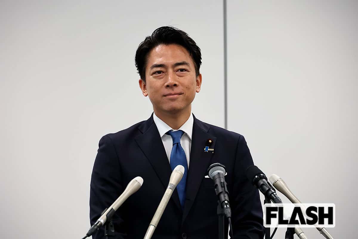 【総裁選】小泉進次郎『文春のいう事は嘘だーー！！私は知らん！！』