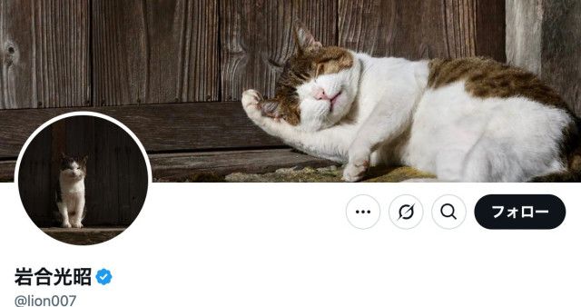 【芸能】写真家・岩合光昭、「ネコ歩き」撮影中。“確信犯的に邪魔する”猫に「またやられています」