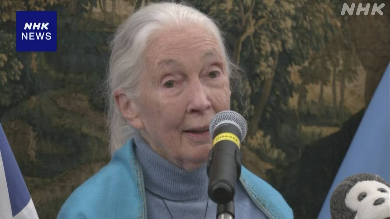 【訃報】霊長類学者 ジェーン・グドールさん死去 91歳