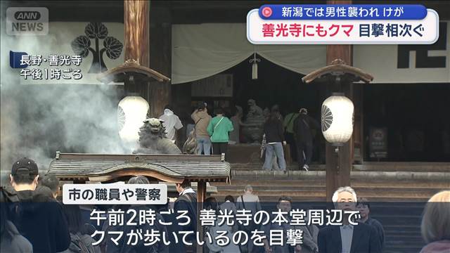 【長野】善光寺近くでクマ目撃情報 観光客も驚き「こんなところに…」
