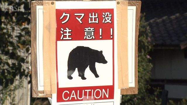 【（・(ｪ)・）】買い物帰りにクマに襲われ馬乗りになってもみ合いに…50代女性けが　新潟・阿賀町