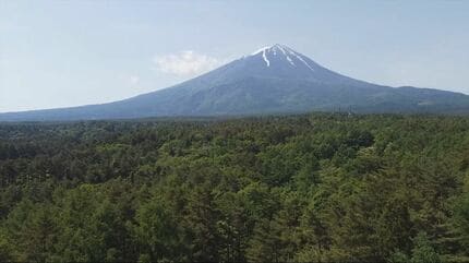 キノコ狩りの男性を救助　1人で樹海に入って約10分後に迷う　山梨