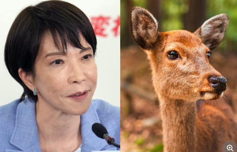 【政治】「高市さんは1000年以上シカと生きてきた奈良市民ではない」高市早苗氏の“シカ愛国発言”に生粋の地元民が物申す「奈良のシカは野生」「むしろシカに襲われた観光客が緊急搬送も」