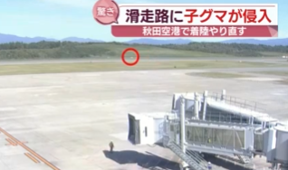 ANAがKUMAに邪魔されゴーアラウンド　(秋田)