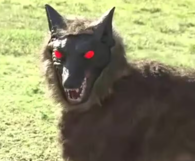 【ロボ】獣害対策の救世主になるか　オオカミ型の自動運転ロボット「モンスターウルフ」の実証実験始まる　福井　(動画あり)