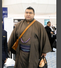 相撲協会の序列が判明！理事・横綱大関はファースト！木村庄之助はビジネス、その他はエコノミー