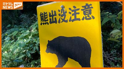 宮城の住宅街にクマ、初の緊急銃猟で駆除