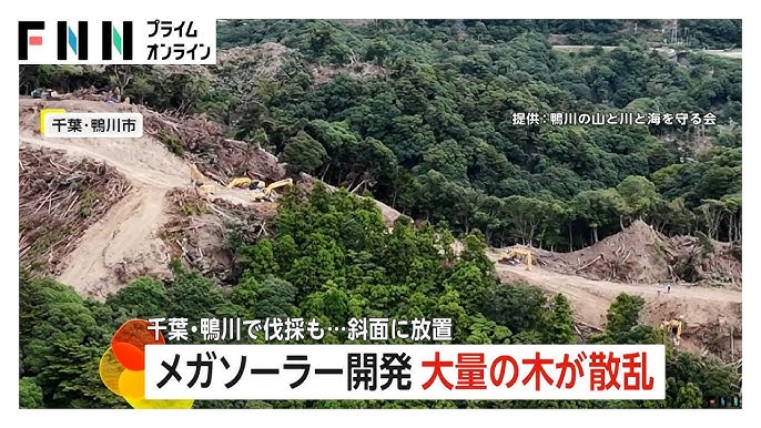 行政指導58回も…東京ドーム32個分のメガソーラー開発で伐採した36万5000本の木を斜面に放置