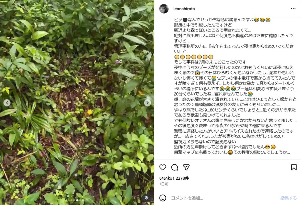 女優・広田レオナ、自宅に「クマ」出没を報告「庭の花壇が大きく潰されて」「80センチくらいでしょう