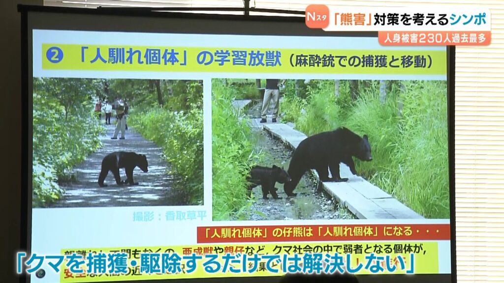 【兵庫】クマ被害「捕獲・駆除だけでは解決しない」　自然保護団体「日本熊森協会」がシンポ開催、研究者・猟友会らが対策など話し合う