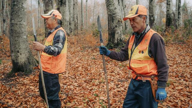 【🐻】日本の「クマ被害」をニューヨーク・タイムズが一面で大きく報道