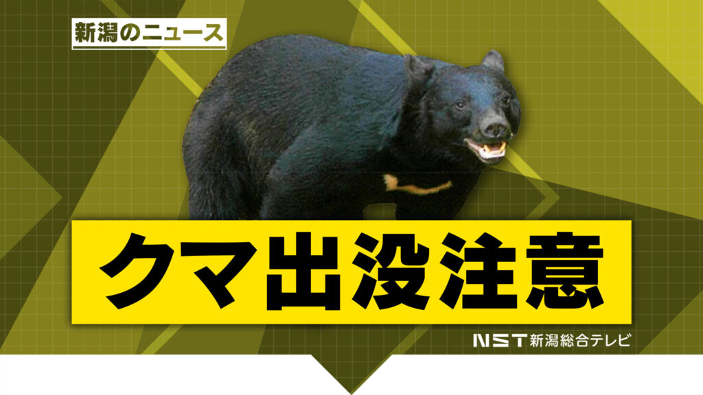 【クマ被害】ニシキゴイを捕食…養鯉池でクマ1頭を目撃　民家から約110mの距離で警察などが警戒強化　新潟・小千谷市