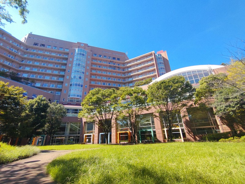 【子育て】第1子、18歳までかかる費用は…2170万円　国立成育研調査