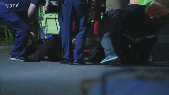 【北海道・福島町】全町民に1万円の商品券配布 クマ被害をうけイベント中止で経済停滞 飲食・宿泊業にも支援金