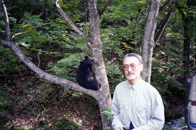 【（・(ｪ)・）】市街地出没「アーバンベア」冬眠しない？　人里で餌確保でき、1月初旬まで活動の恐れも　クマ