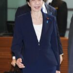 【独自】自民、食品消費税ゼロへ検討加速　公約重点項目案、定数1割減目標