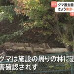 【（・(ｪ)・）】東京でもクマ目撃 日の出町のごみ処理施設付近の林に逃げたか　今年度のツキノワグマ出没件数“1.5倍増加”