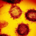 新型コロナ死者15.8万人　高齢中心に高水準、初確認6年