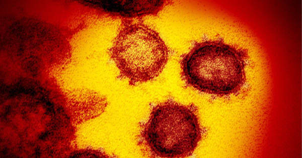 新型コロナ死者15.8万人　高齢中心に高水準、初確認6年