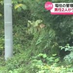 【秋田・鹿角市】電柱の管理作業中、2人がクマに襲われる 1人は顔から出血