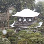 「銀閣寺」高校生以上の拝観料を2倍に値上げ　32年ぶり、人件費や資材費の高騰で