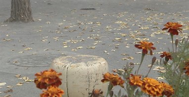 【東京・大田区】小学校高学年の児童2人、50代とみられる男に殴られる 住宅にボールが入りトラブルか