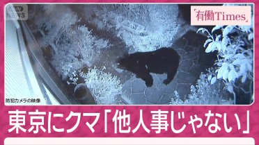 【（・(ｪ)・）】“東京クマ”2夜連続で激撮「75年生きて初めて」冬眠しないクマは年越しか