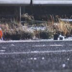 【宮城】東北道で高齢男性が車2台にはねられ死亡　誤って道路に立ち入ったか　事故の影響で東北道が一時通行止め