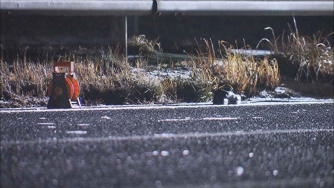 【宮城】東北道で高齢男性が車2台にはねられ死亡　誤って道路に立ち入ったか　事故の影響で東北道が一時通行止め