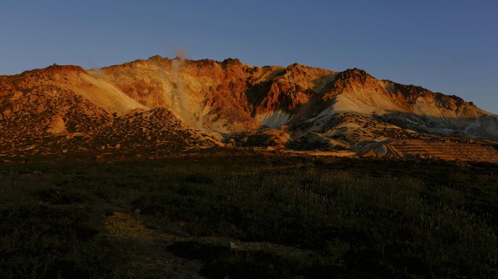【北海道】「ヒグマに襲われたのでは」と大規模捜索、行方不明のハンターが2か月後に警察署に姿を現す